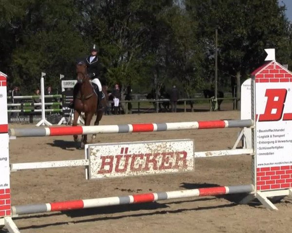 Reitstall Brinkmann 2013