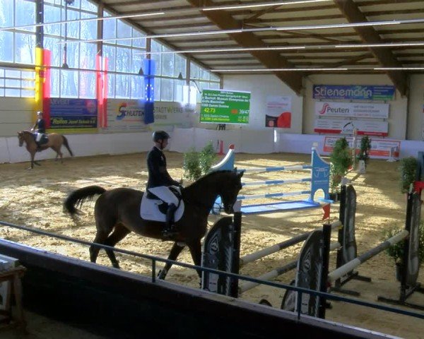Reitturnier Borken 2025