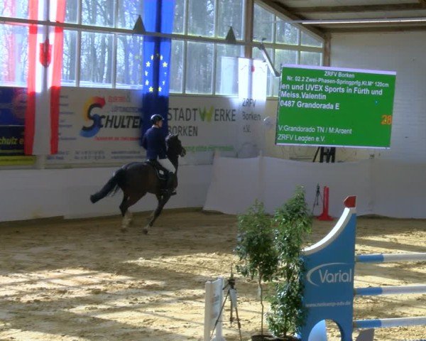 Reitturnier Borken 2025