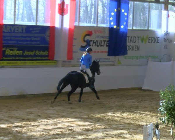 Reitturnier Borken 2025