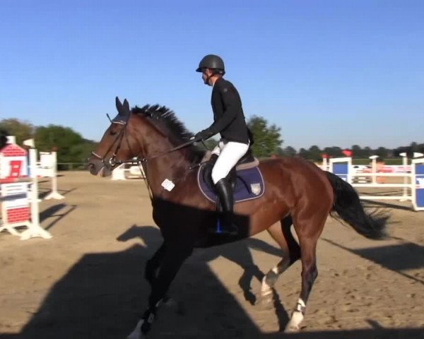 Reitstall Brinkmann 2013