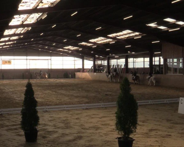 Reitturnier Ostenfelde-Vornholz 2025