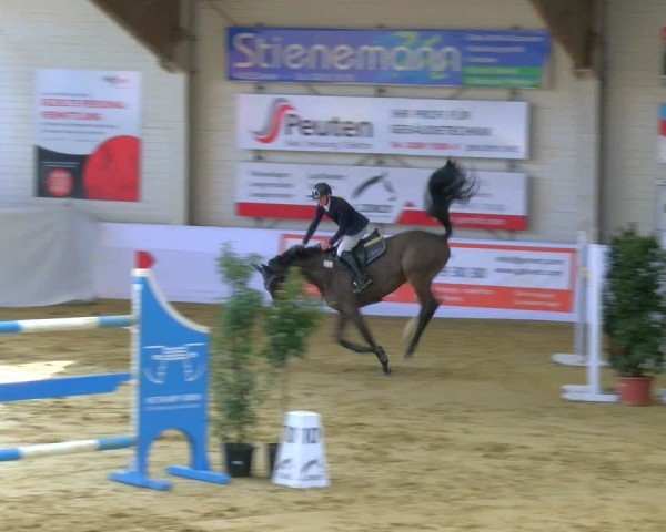 Reitturnier Borken 2025