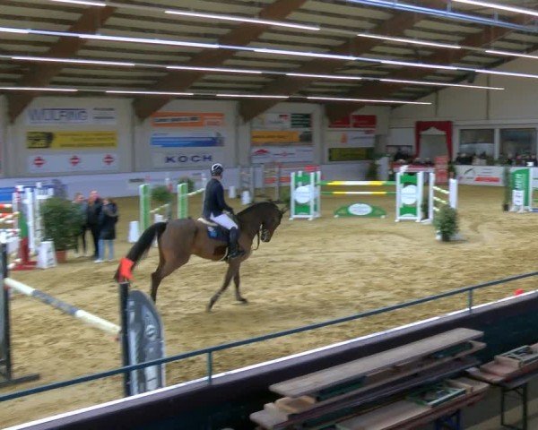 Reitturnier Borken 2025