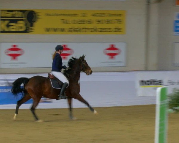 Reitturnier Borken 2025