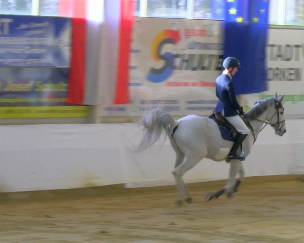 Reitturnier Borken 2025
