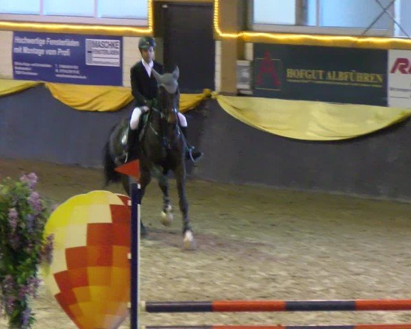 Reitturnier Sauldorf-Boll 2025
