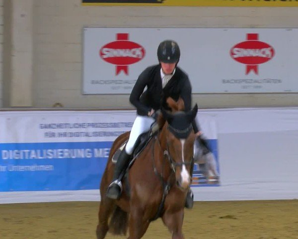 Reitturnier Borken 2025