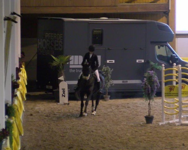 Reitturnier Sauldorf-Boll 2025