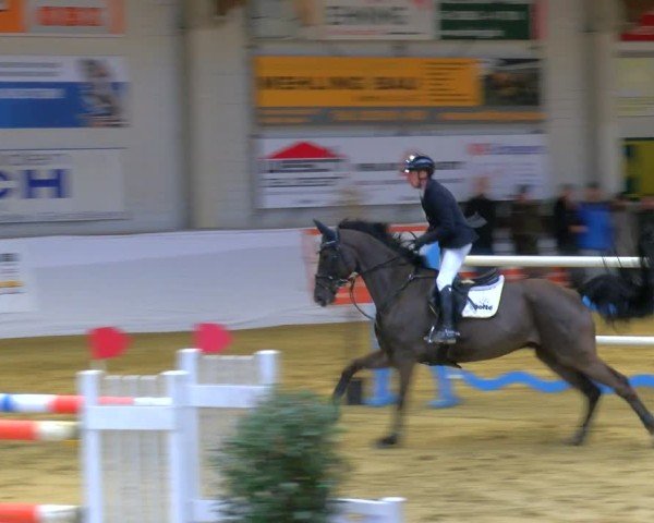 Reitturnier Borken 2025