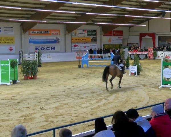 Reitturnier Borken 2025