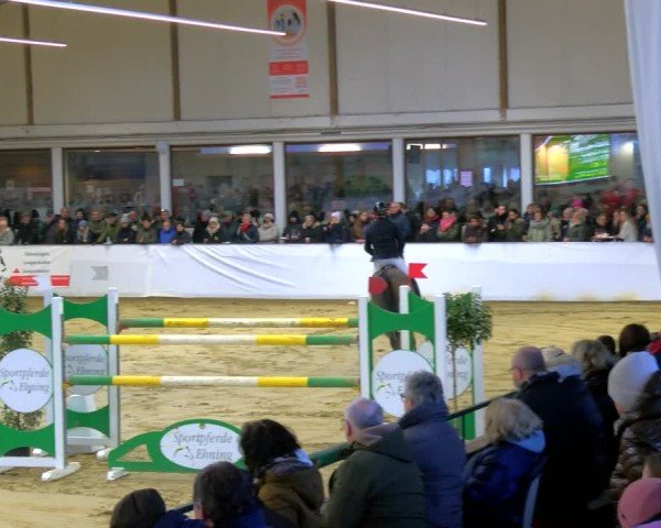 Reitturnier Borken 2025