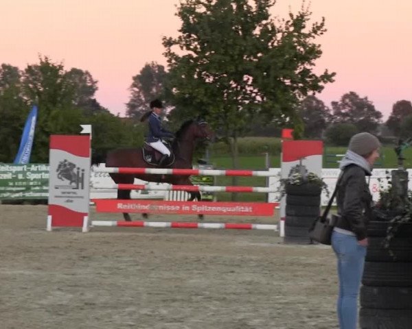 Reitstall Brinkmann 2013