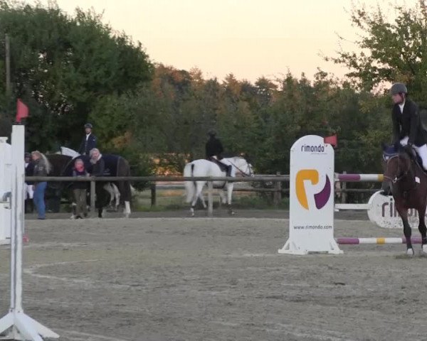 Reitstall Brinkmann 2013