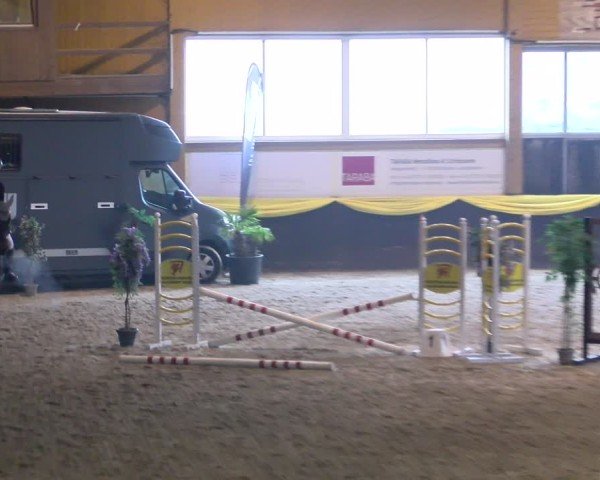 Reitturnier Sauldorf-Boll 2025