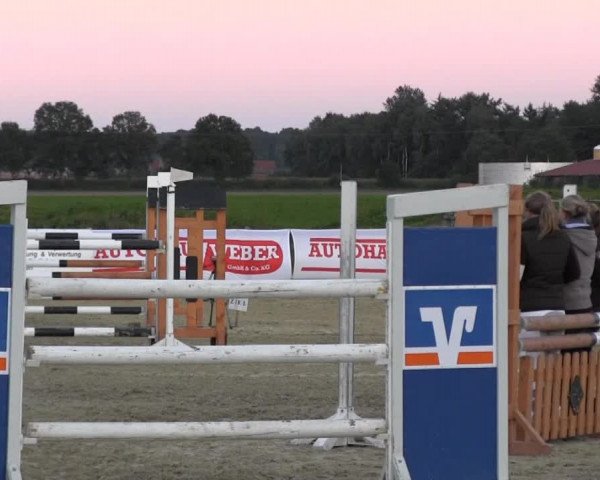 Reitstall Brinkmann 2013