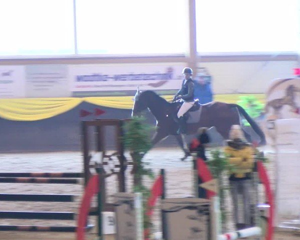 Reitturnier Sauldorf-Boll 2025