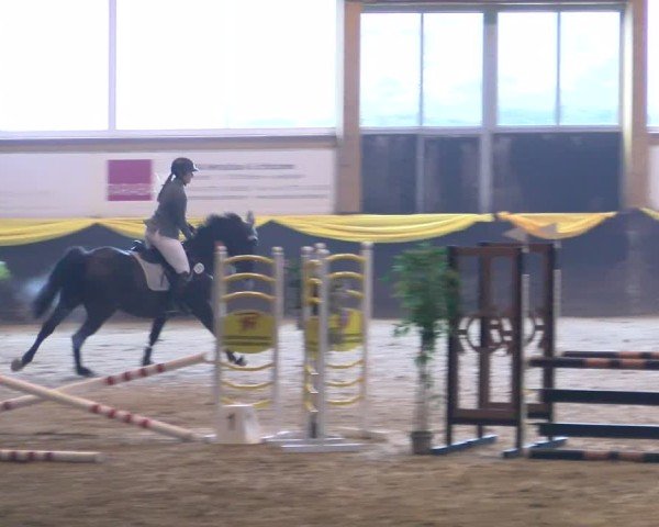 Reitturnier Sauldorf-Boll 2025