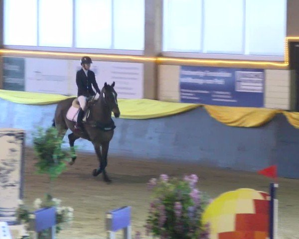 Reitturnier Sauldorf-Boll 2025