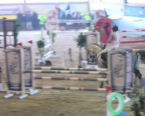 Reitturnier Sauldorf-Boll 2025