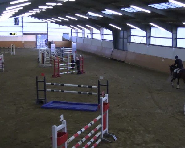Reitturnier Datteln 2025