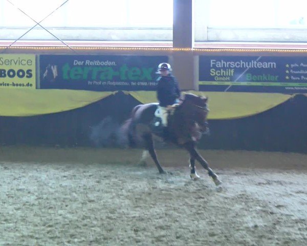 Reitturnier Sauldorf-Boll 2025