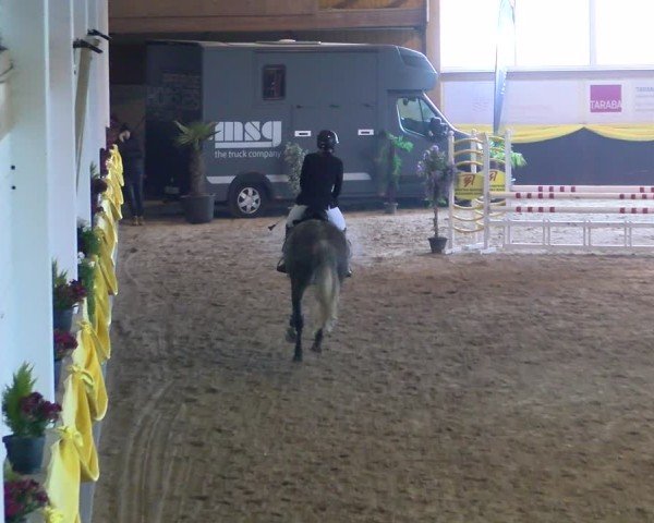 Reitturnier Sauldorf-Boll 2025