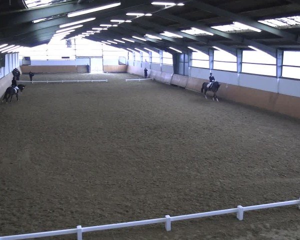 Reitturnier Datteln 2025