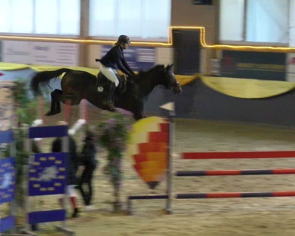 Reitturnier Sauldorf-Boll 2025