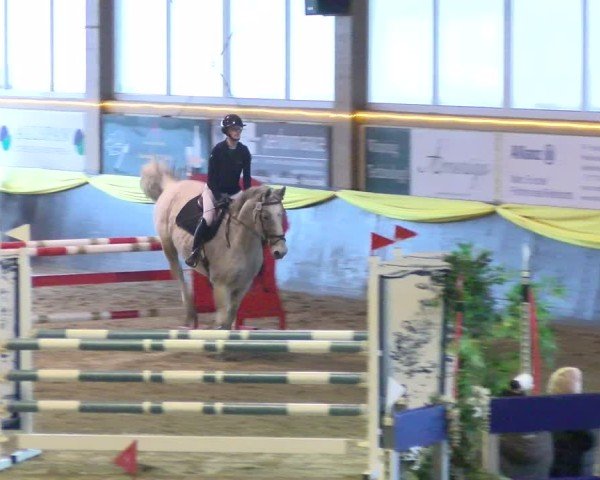 Reitturnier Sauldorf-Boll 2025