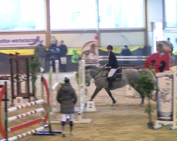 Reitturnier Sauldorf-Boll 2025