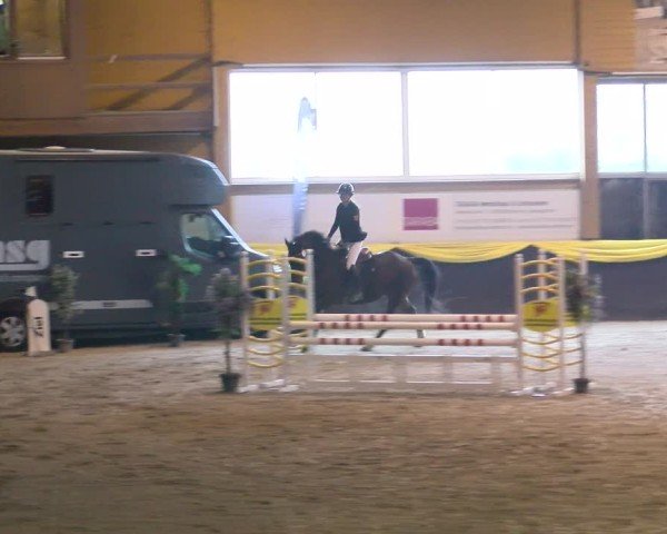 Reitturnier Sauldorf-Boll 2025