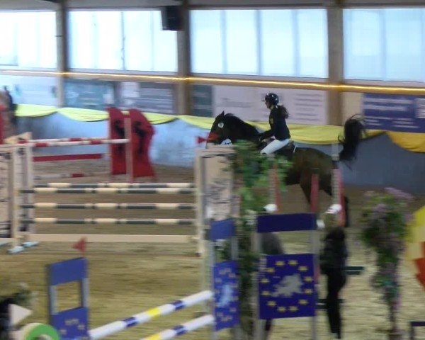 Reitturnier Sauldorf-Boll 2025