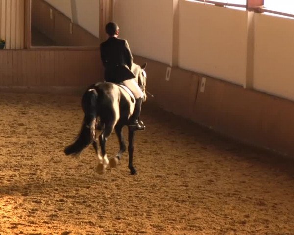 Reitstall Brinkmann 2013
