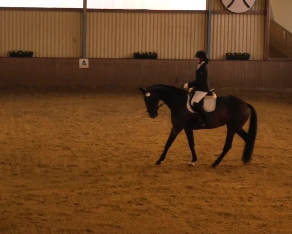 Reitstall Brinkmann 2013