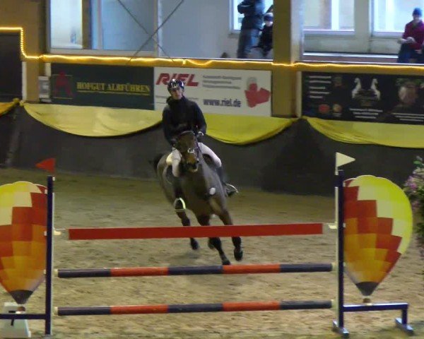 Reitturnier Sauldorf-Boll 2025