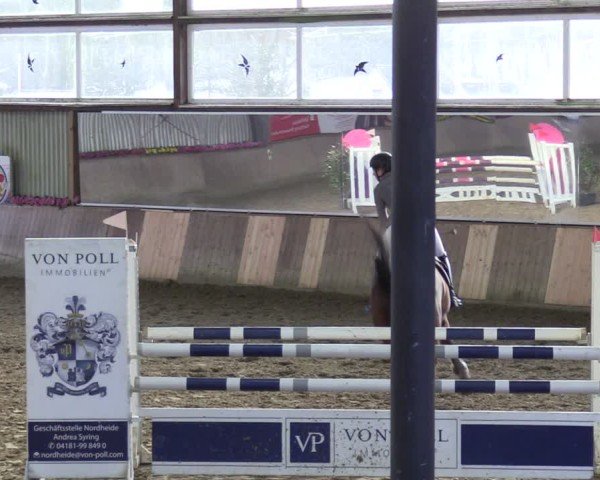 Reitturnier Sieversen - Rosengarten 2025