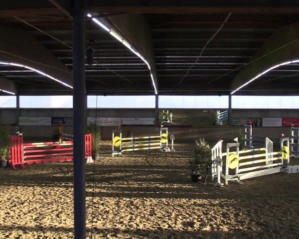 Reitturnier Sieversen - Rosengarten 2025