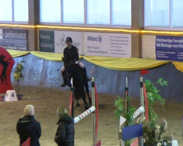 Reitturnier Sauldorf-Boll 2025