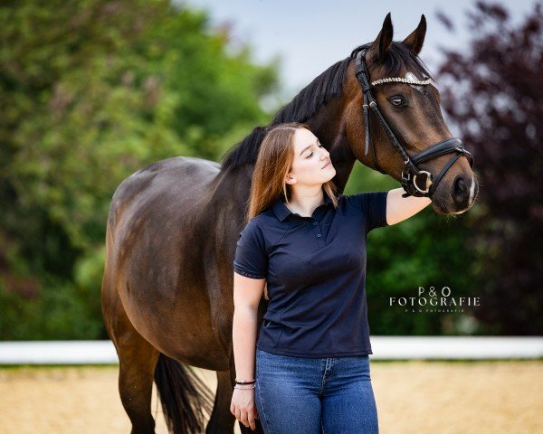 dressage horse Feine Maid vom Schmiedehof (Westphalian, 2020, from For Gold OLD)