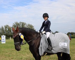 horse Esclava 2 (Pura Raza Espanola (PRE), 2004, from Ebanisto VI)