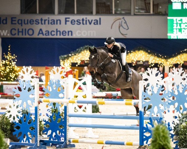 jumper Geronimo 709 (Hanoverian, 2012, from Grey Top)