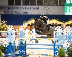 jumper Geronimo 709 (Hanoverian, 2012, from Grey Top)