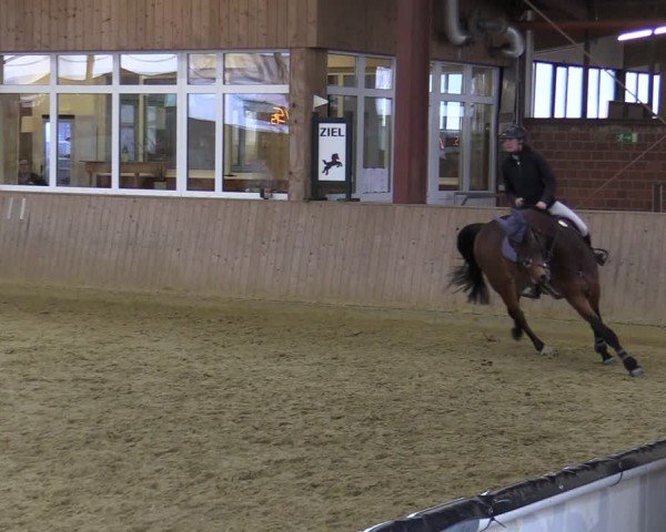 Video von Tabe's Stoffel