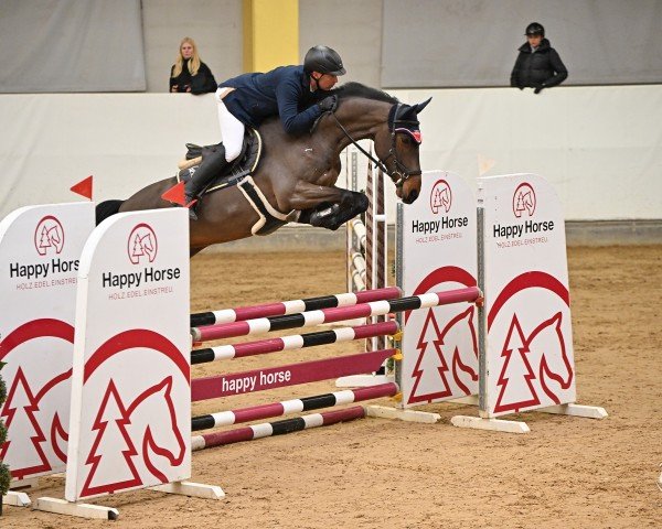 jumper Quintano 79 (Zangersheide riding horse, 2019, from Qatar Z)