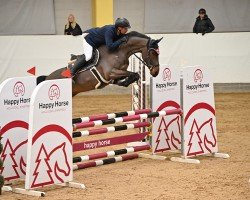 jumper Quintano 79 (Zangersheide riding horse, 2019, from Qatar Z)