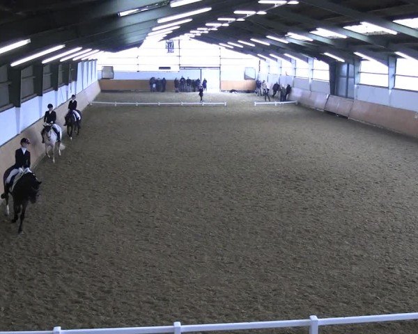 Reitturnier Datteln 2025