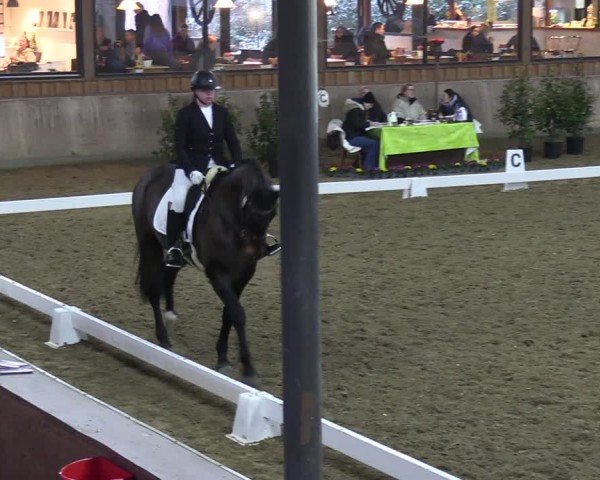 Reitturnier Sieversen - Rosengarten 2025