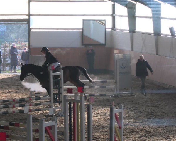 Reitturnier Datteln 2025