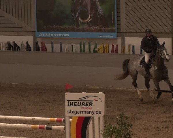 Reitturnier AZL Luhmühlen 2025